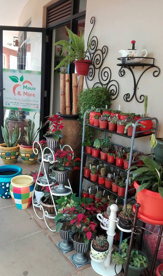 Maua and More Kensington Shopping Boulevard, Kensington Luxury Heights Kyanja, Kampala, Uganda, Gardeners, Gardens, Kampala Uganda Gardening and Landscaping, Home Decor, Interior & Exterior Design, Herbs, Flowers, Flower Pots Kampala Uganda, Ugabox